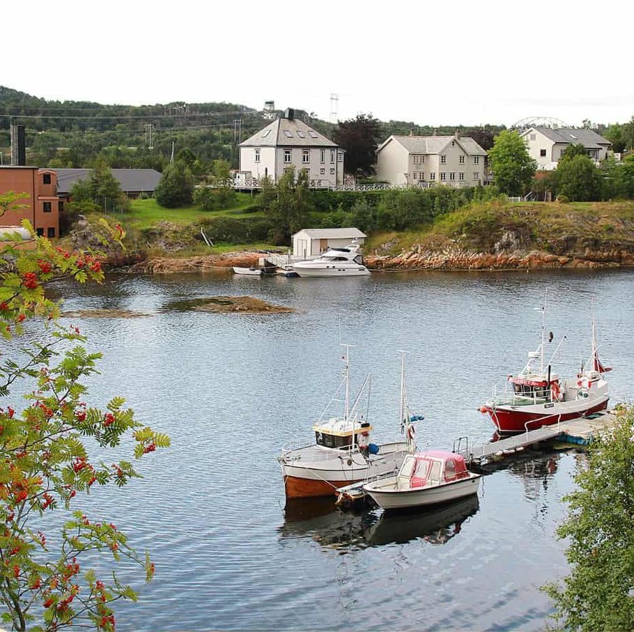 Illustrasjon av årbok årgang 2014