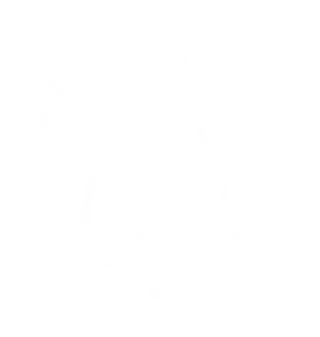 Hvit logosymbol - Freiøya Historielag